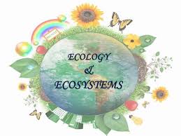 Ecology and Ecosystems